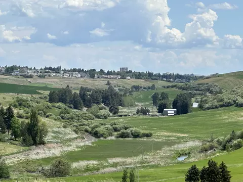 7 S Nn S Armstrong Rd, Pullman, WA 99163 photo 8