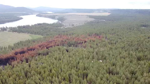 Nnn Coyote Ridge Ln, Ford, WA 99013