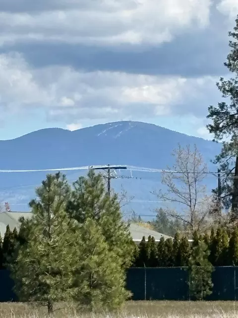 000 N Yale Rd, Colbert, WA 99005