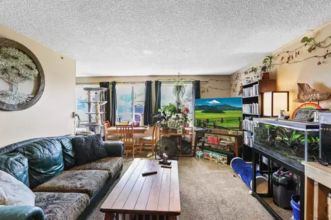Living - 1847 E Marshall Ave, Spokane, WA 99207 photo 2 of 4