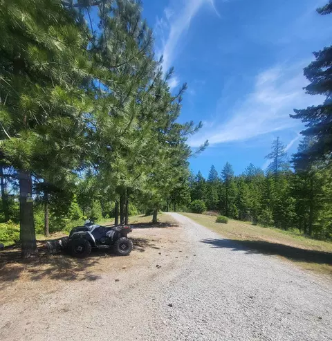 42484 Mt Moriah Way, Loon Lake, WA 99148