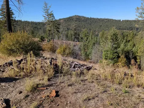 42484 Mt Moriah Way, Loon Lake, WA 99148