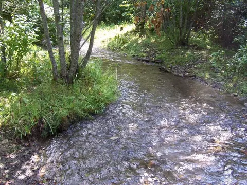 35 Nn Northport Flat Creek Rd, Colville, WA 99114