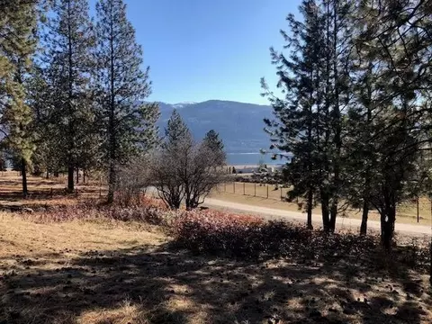 6 Parkview Dr, Kettle Falls, WA 99141