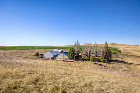 Exterior - 51492 Sobek Rd E Rd, Edwall, WA 99008 photo 6 of 6