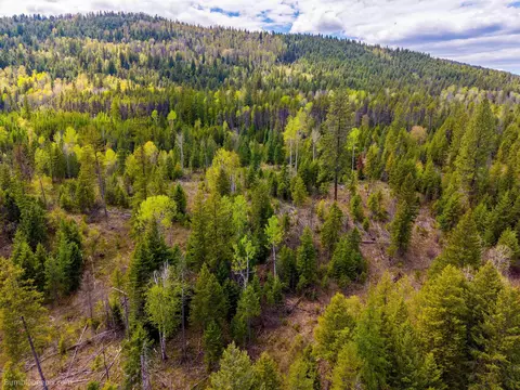 391254 20 Hwy, Cusick, WA 99119 photo 14