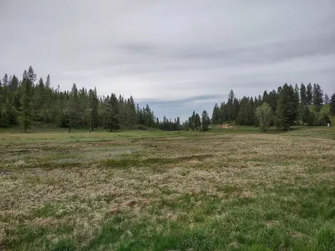 X E Jump Off Rd #1, 61.45 ACRES, Valley, WA 99181