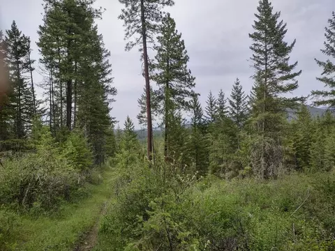 NNN E Jump Off Rd #125 ACRES, Valley, WA 99181