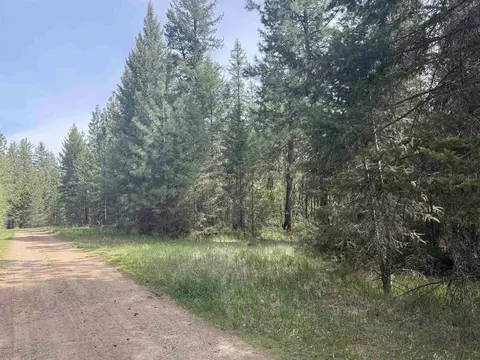 67 First Thought Loop, Other, WA 99146