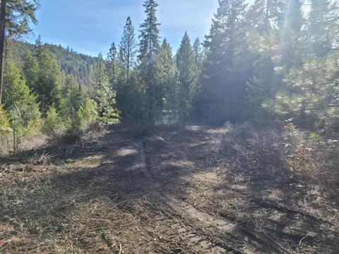 2584 Bridgeman Rettinger Rd # -F, Kettle Falls, WA 99141