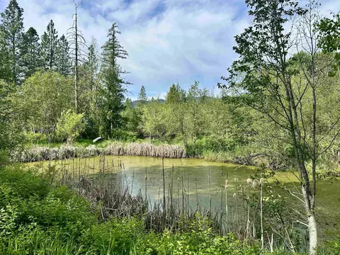 251 Sicley Rd, Cusick, WA 99119 photo 25