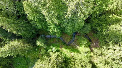 251 Sicley Rd, Cusick, WA 99119 photo 30