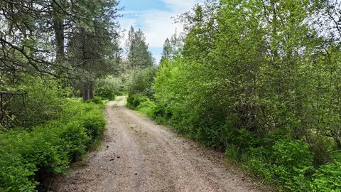 251 Sicley Rd, Cusick, WA 99119 photo 35