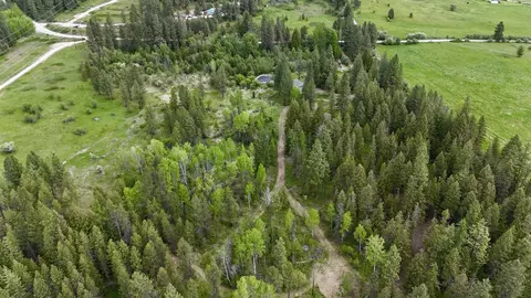 251 Sicley Rd, Cusick, WA 99119 photo 34