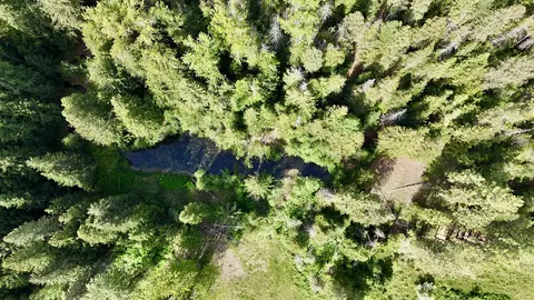 251 Sicley Rd, Cusick, WA 99119 photo 29