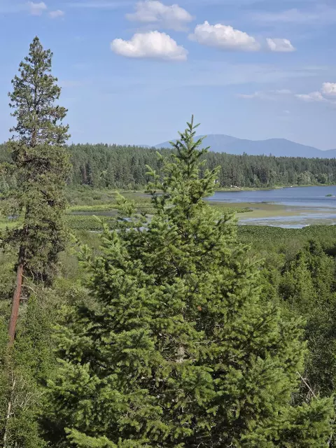 42800 N Hatch Rd #PARCEL 39051.9032, Deer Park, WA 99006