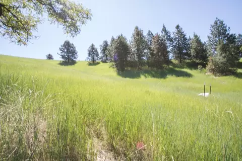172 E Nn E Frederick Rd, Spokane, WA 99217 photo 5