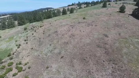 172 E Nn E Frederick Rd, Spokane, WA 99217 photo 37
