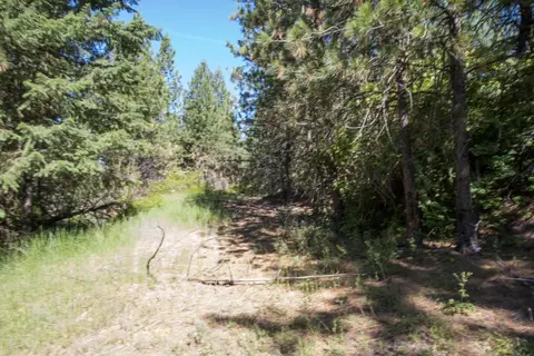 172 E Nn E Frederick Rd, Spokane, WA 99217 photo 29