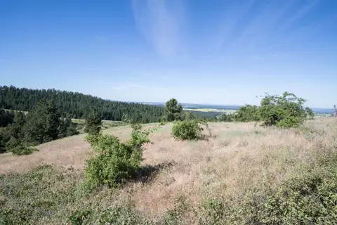 172 E Nn E Frederick Rd, Spokane, WA 99217 photo 11