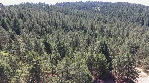 172 E Nn E Frederick Rd, Spokane, WA 99217 photo 16