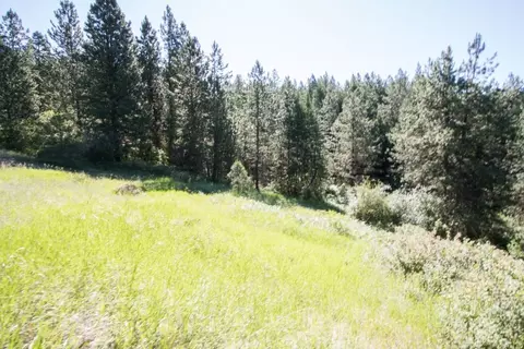 172 E Nn E Frederick Rd, Spokane, WA 99217 photo 20