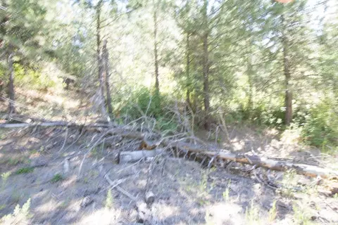 172 E Nn E Frederick Rd, Spokane, WA 99217 photo 31