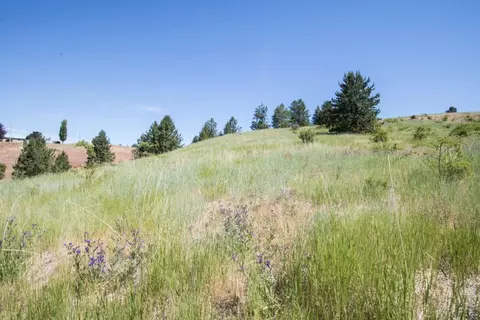 172 E Nn E Frederick Rd, Spokane, WA 99217 photo 43