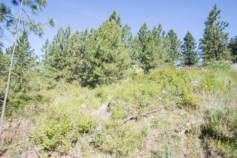 172 E Nn E Frederick Rd, Spokane, WA 99217 photo 25