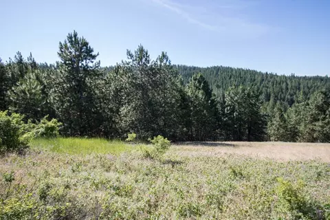 172 E Nn E Frederick Rd, Spokane, WA 99217 photo 13