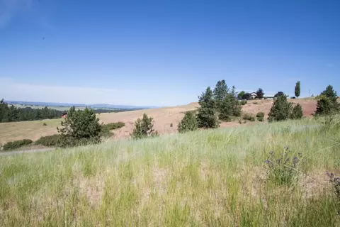 172 E Nn E Frederick Rd, Spokane, WA 99217 photo 42