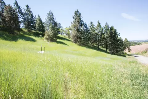 172 E Nn E Frederick Rd, Spokane, WA 99217 photo 4