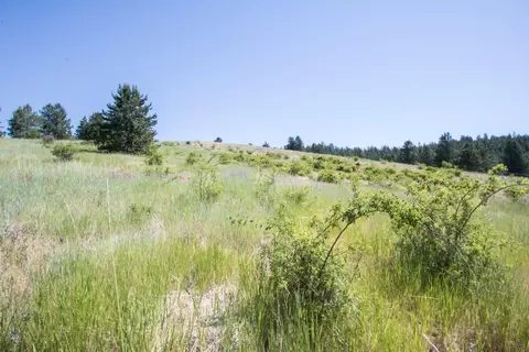 172 E Nn E Frederick Rd, Spokane, WA 99217 photo 44