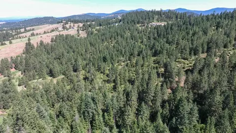 172 E Nn E Frederick Rd, Spokane, WA 99217 photo 35