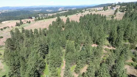 172 E Nn E Frederick Rd, Spokane, WA 99217 photo 33