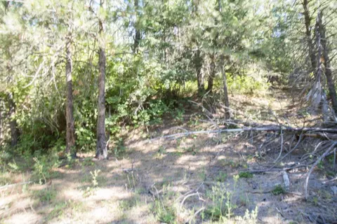 172 E Nn E Frederick Rd, Spokane, WA 99217 photo 30