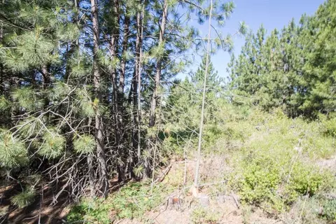 172 E Nn E Frederick Rd, Spokane, WA 99217 photo 26