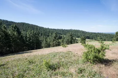 172 E Nn E Frederick Rd, Spokane, WA 99217 photo 12