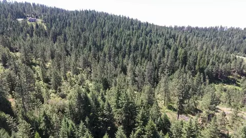 172 E Nn E Frederick Rd, Spokane, WA 99217 photo 34