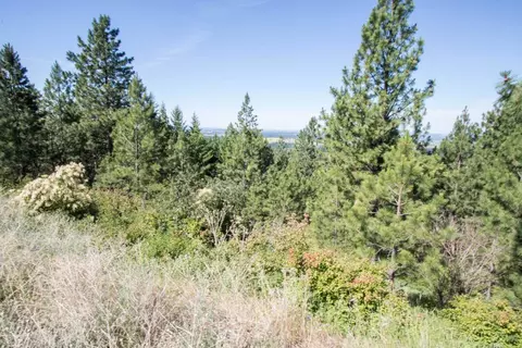 172 E Nn E Frederick Rd, Spokane, WA 99217 photo 24