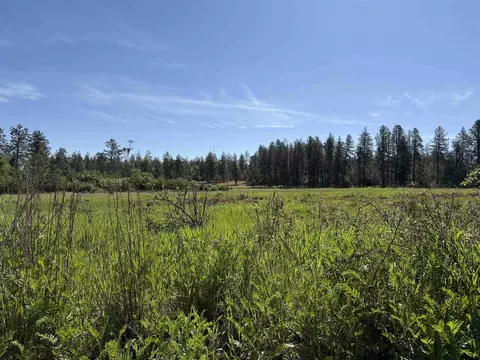 34 W Nn W Thorpe Rd, Spokane, WA 99224
