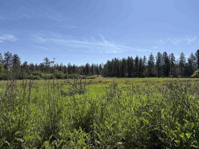 34 W Nn W Thorpe Rd, Spokane, WA 99224