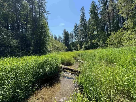 530 N A St #LOT 4, Springdale, WA 99173