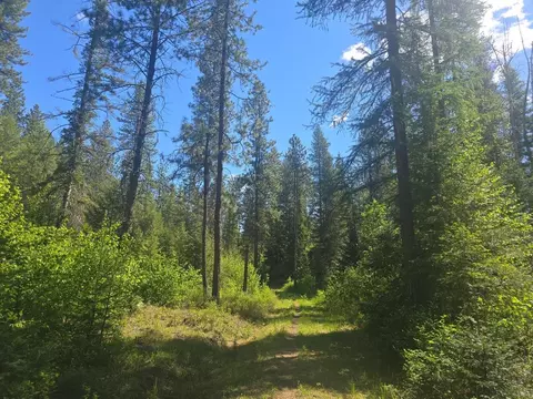 36 Nn Northport Flat Creek Rd, Kettle Falls, WA 99141