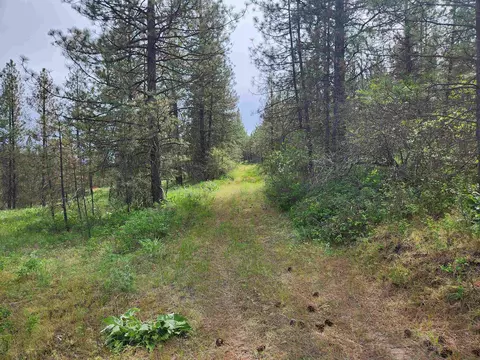 6269 Miller Mountain Rd, Fruitland, WA 99129