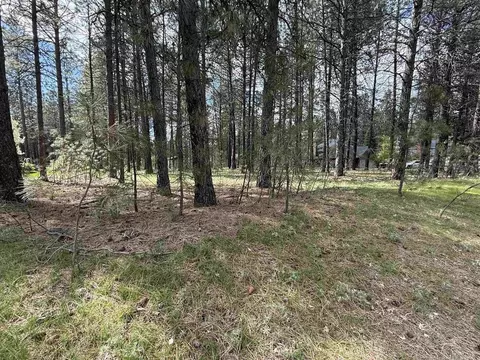 17 N Nnn N Saddle Hill Rd, Colbert, WA 99005
