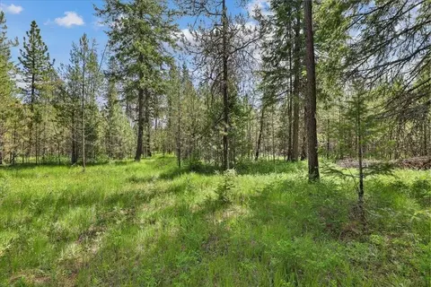 3804 Meadowlark Way, Loon Lake, WA 99148