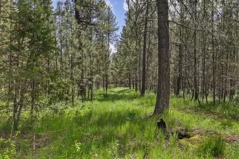 3834 Meadowlark Way, Loon Lake, WA 99148