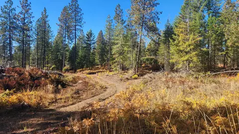 43 Nn Lyons Hill Rd, Springdale, WA 99173