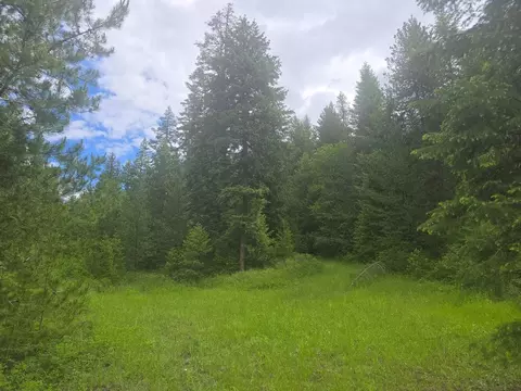 1334 Onion Creek Road, Colville, WA 99114